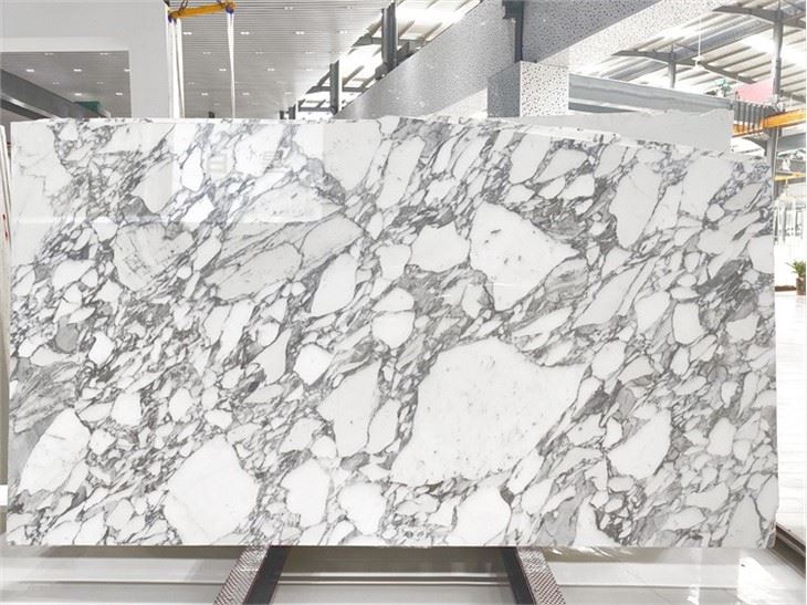 Arabescato Corchia Marble