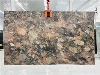 Brazilian Excalibur Quartzite Slab