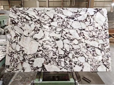 Calacatta Viola Italy Marble Slab