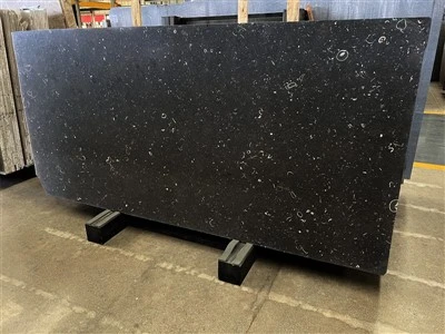 Morocco Grey Fossil Marble
