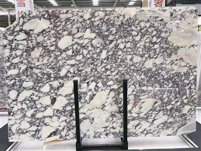 Turkish Calacatta Viola Marble Slab