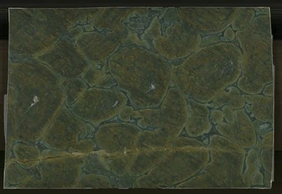 Vitoria Regia Quartzite